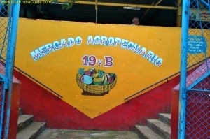 agromercado at the corner of 19 and b in vedado, havana.