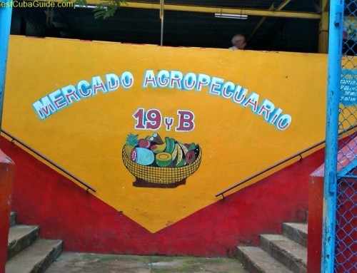 Agromercado at the corner of 19 and B in Vedado.