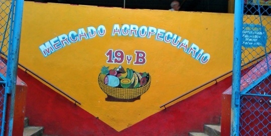 agromercado at the corner of 19 and b in vedado, havana.