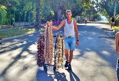 onion and garlic vendor in vedado, havana.