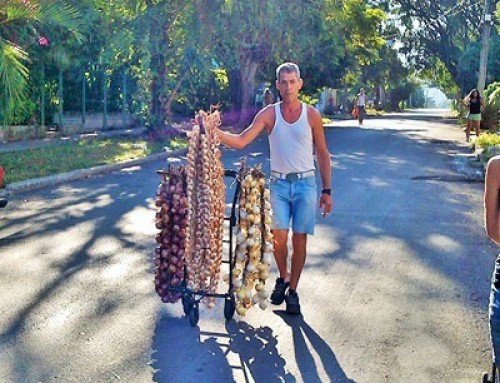 An onion and garlic vendor roams the street in Vedado, Cuba