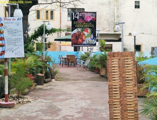 Best independent paladar in Vedado, Havana Cuba